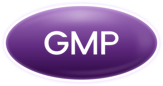 GMP Equipamientos