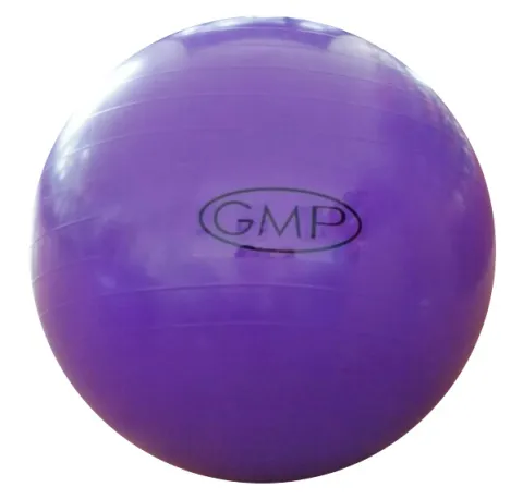 Pelota de esferodinamia GMP 65 cm violeta