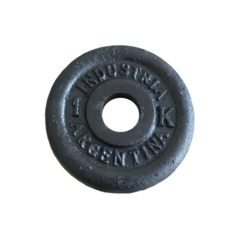 Disco fundicion x 1 kg -24mm