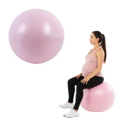 PELOTA 65 CM  soporta 800 KG profesional - c/inflador - ROSA