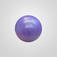 Pelota 24 cm fitness - VIOLETA