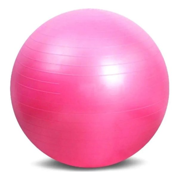 Pelota de esferodinamia 65 cm importada - ROSA