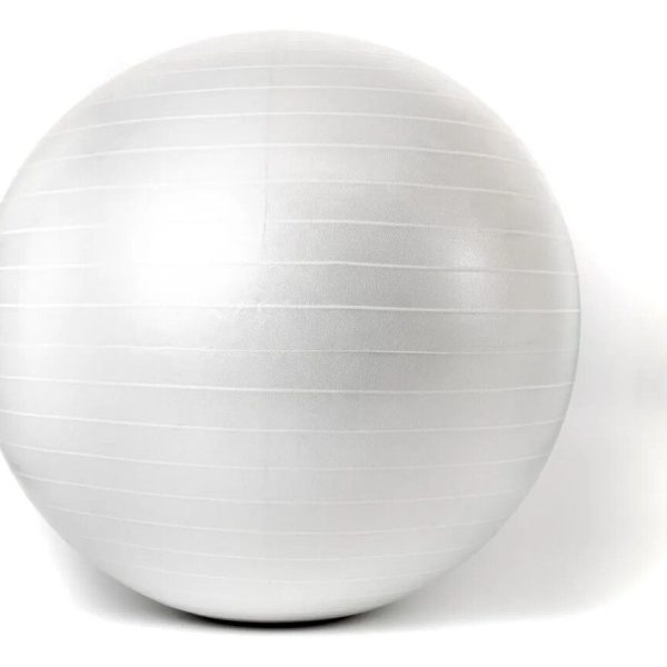 Pelota de esferodinamia 65 cm importada