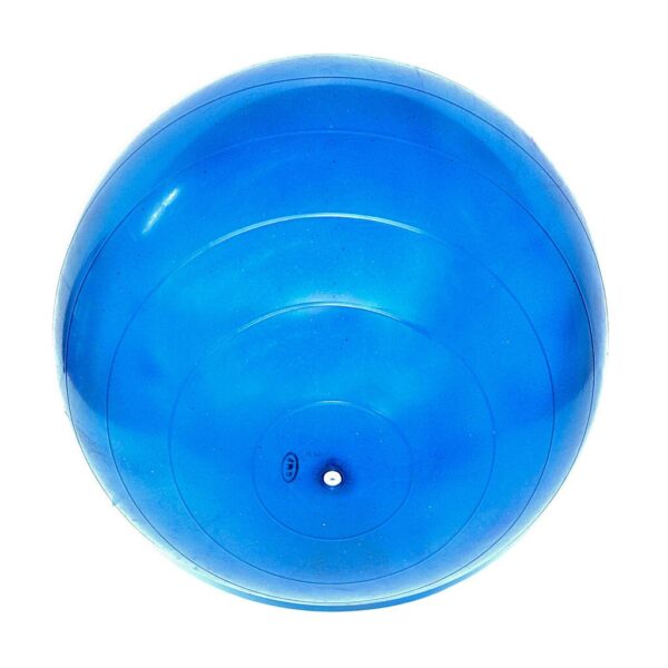 Pelota de esferodinamia  reforzada  65 cm - AZUL - HASTA 210 KG