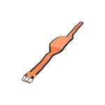Cinturon de levantamiento de PESAS cuero Nacional - Imagen 3