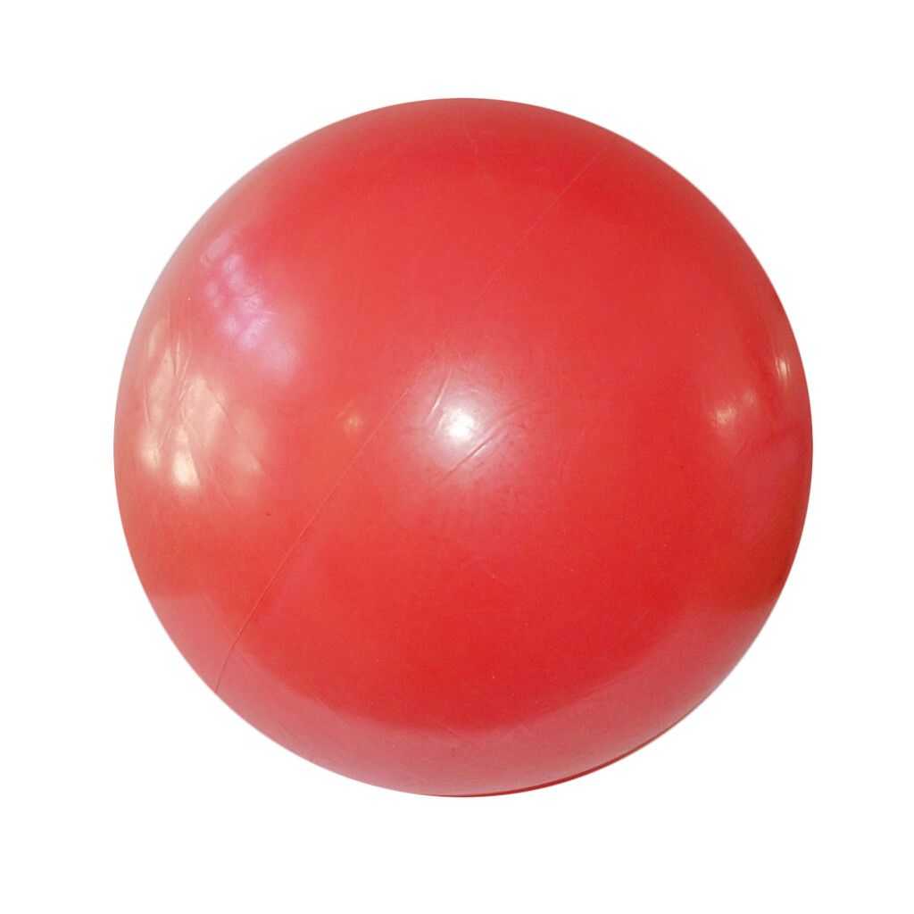 Pelota 55 cm fitness ECO Pelota 55 cm fitness ECO - Imagen 1